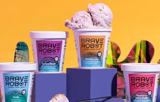 Brave Robot — work snapshot